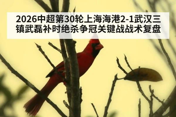 2026中超第30轮上海海港2-1武汉三镇武磊补时绝杀争冠关键战战术复盘 - jiuyou game