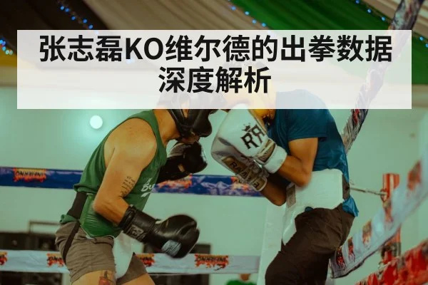 张志磊KO维尔德的出拳数据深度解析